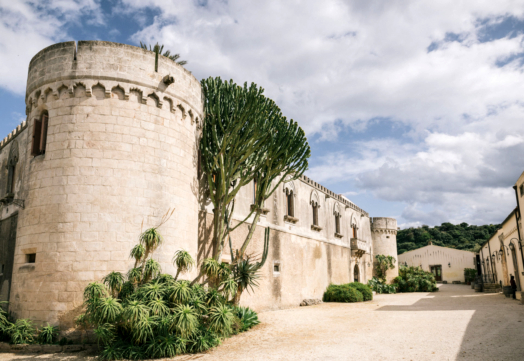 Castle With A Winery